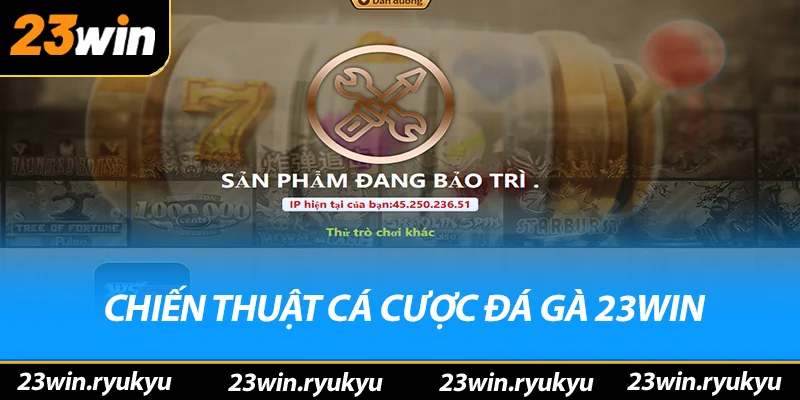 Chiến thuật cá cược đá gà 23win 