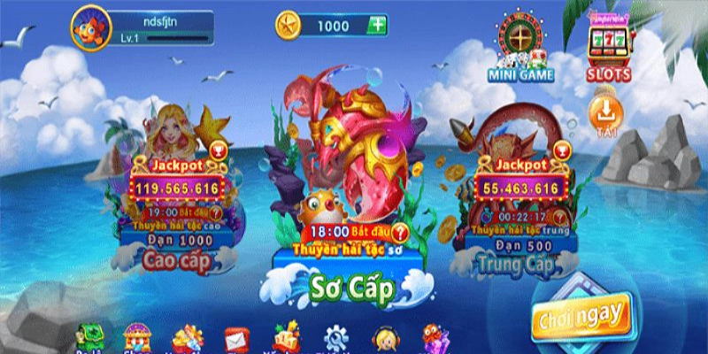 Lưu ý khi chơi bắn cá vua hải tặc